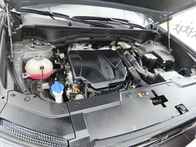 Hyundai Santafe 2024, 21894 км, за 30100000 KRW - фото 6
