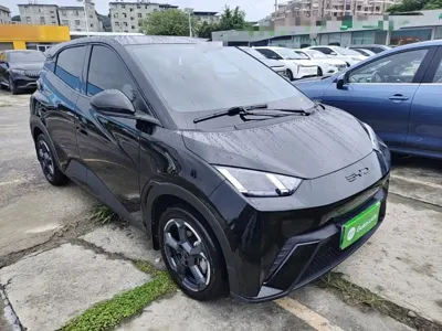 BYD Seagull 2024, 34100 км, за 48300 CNY