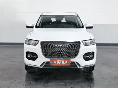 Haval H6 2020, 42300 км, за 41900 CNY - фото 3