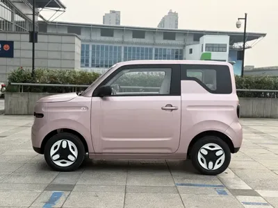 Galaxy Panda 2026, 100 км, за 36800 CNY