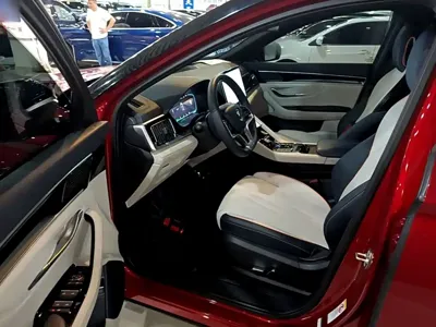 BYD PLUS New Energy 2023, 23300 км, за 69200 CNY - фото 16