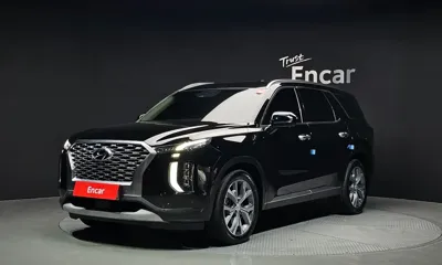 Hyundai Palisade · 2020 год