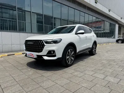 Haval H6 · 2023 год