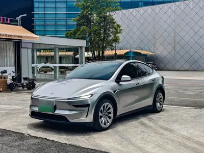 Tesla Model Y · 2025 год
