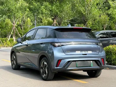BYD Dolphin 2025, 20000 км, за 61800 CNY - фото 4