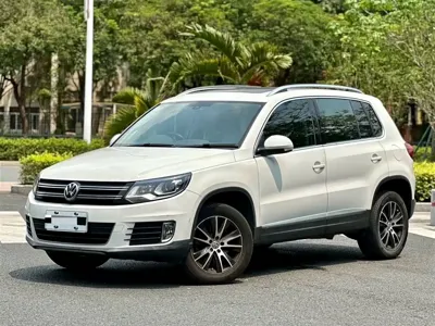 Volkswagen Tiguan · 2015 год