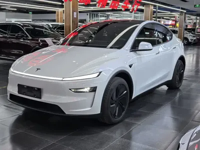 Tesla Model Y · 2026 год