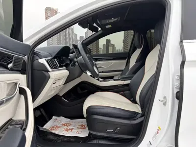 BYD PLUS New Energy 2022, 100000 км, за 79800 CNY