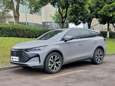 BYD Tang New Energy · 2024 год