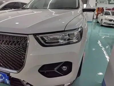 Haval H6 2021, 69000 км, за 46700 CNY - фото 24