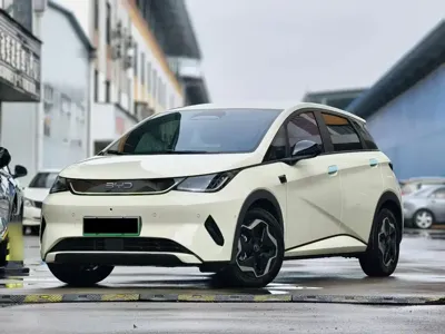BYD Dolphin · 2025 год