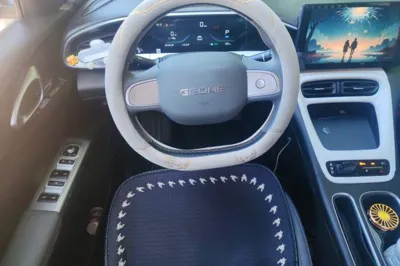 Geely Galaxy Geome 2025, 39900 км, за 69197.21 CNY - фото 9