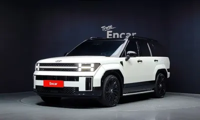 Hyundai Santafe · 2024 год