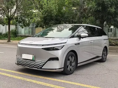 Xpeng X9 · 2024 год