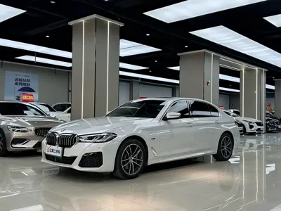 BMW 5 Series New Energy · 2024 год