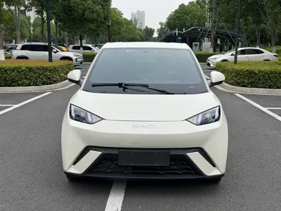 BYD Seagull · 2024 год