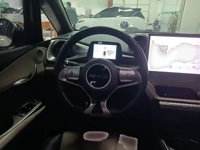 BYD Dolphin 2023, 78000 км, за 60500 CNY - фото 11