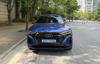 Audi Q8 e-tron · 2024 год