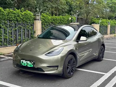 Tesla Model Y · 2024 год