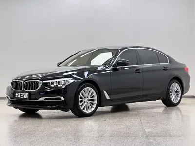 BMW 5 Series · 2019 год