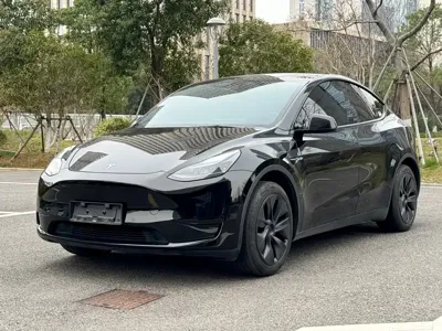 Tesla Model Y · 2023 год