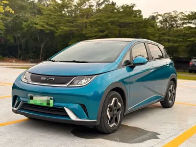 BYD Dolphin · 2022 год