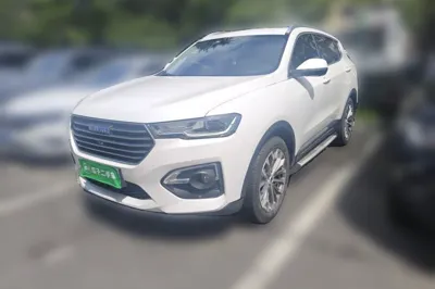 Haval H6 · 2019 год