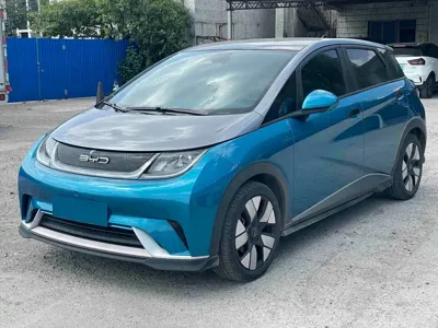BYD Dolphin · 2022 год