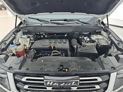 Haval Big Dog 2021, 56700 км, за 73400 CNY - фото 10