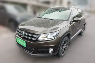 Volkswagen Tiguan · 2015 год