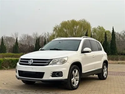 Volkswagen Tiguan · 2013 год