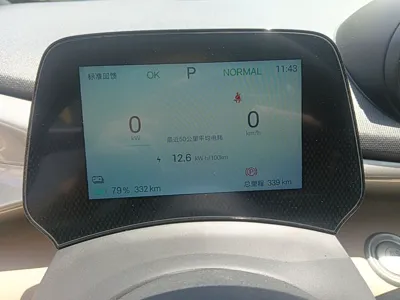 BYD Dolphin 2024, 300 км, за 90950.03 CNY - фото 15