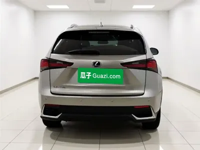 Lexus NX 2020, 31300 км, за 125900 CNY - фото 5