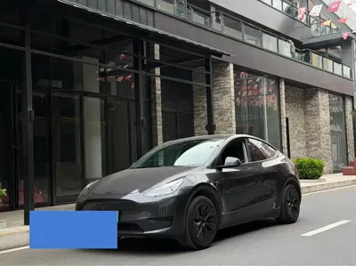 Tesla Model Y · 2024 год