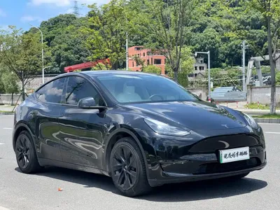 Tesla Model Y · 2021 год
