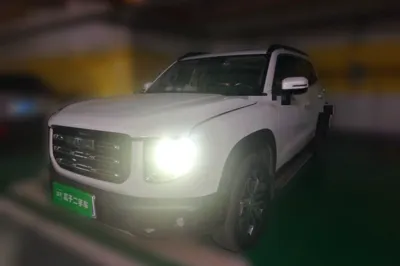 Haval Dargo · 2021 год