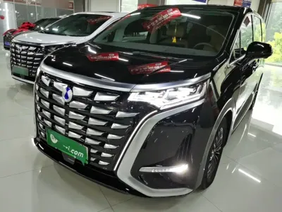 Denza Denza D9 · 2023 год