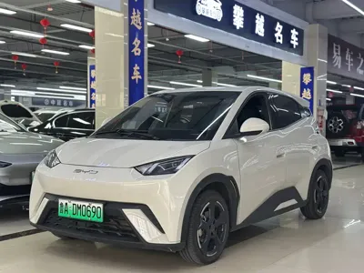 BYD Seagull · 2023 год