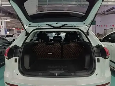 Haval H6 2021, 69000 км, за 46700 CNY - фото 19