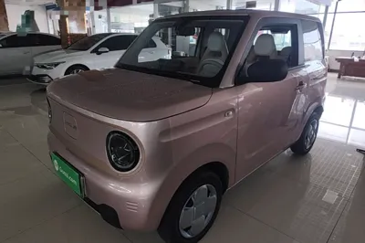Geely Galaxy Panda · 2023 год