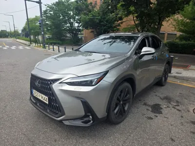 Lexus NX · 2024 год