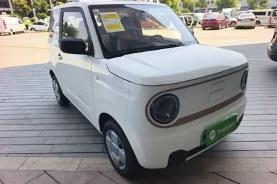 Geely Galaxy Panda 2024, 100 км, за 52657.07 CNY