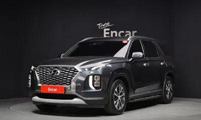 Hyundai Palisade · 2019 год