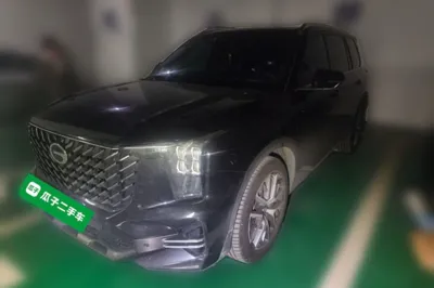 GAC Trumpchi GS8 · 2025 год