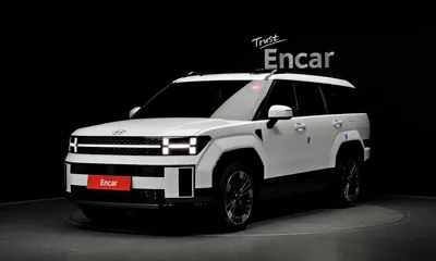 Hyundai Santafe · 2024 год