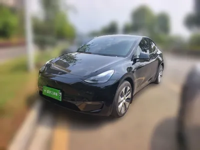 Tesla Model Y · 2021 год