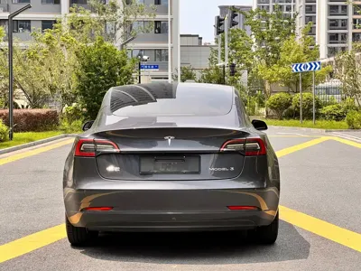 Tesla Model 3 2021, 70000 км, за 115800 CNY - фото 14