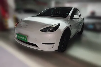 Tesla Model Y · 2023 год