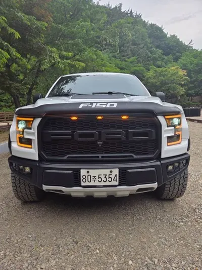 Ford F150 2015, 230000 км, за 33000000 KRW