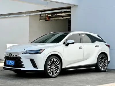 Lexus RX · 2024 год